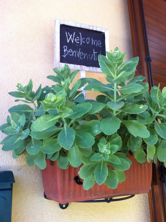 Il Portico Del Conte Bed & Breakfast *